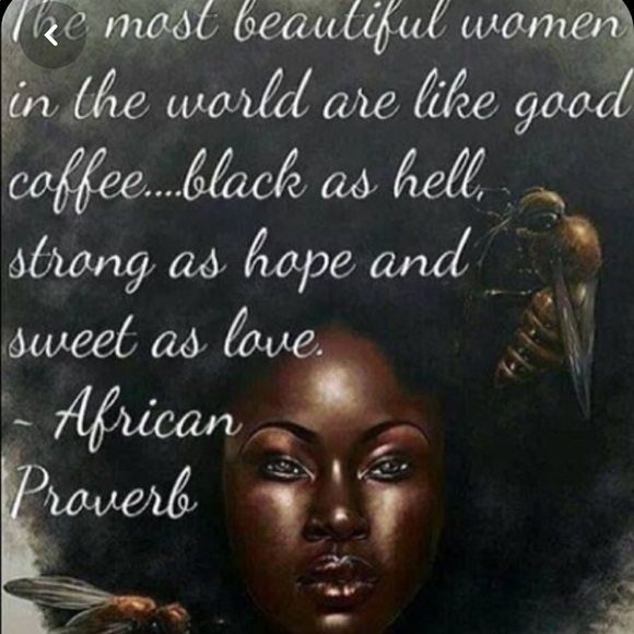 Meet your Posher, Chiffon - Picture 1 of 1